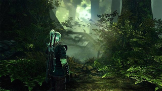 Illustration for article titled A Gripping, Lusty Excerpt From My Witcher 2 Novel